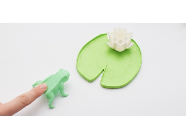 Jumping Frog Gift idea